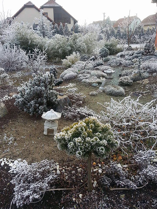Noutonice - zahrada v zimě